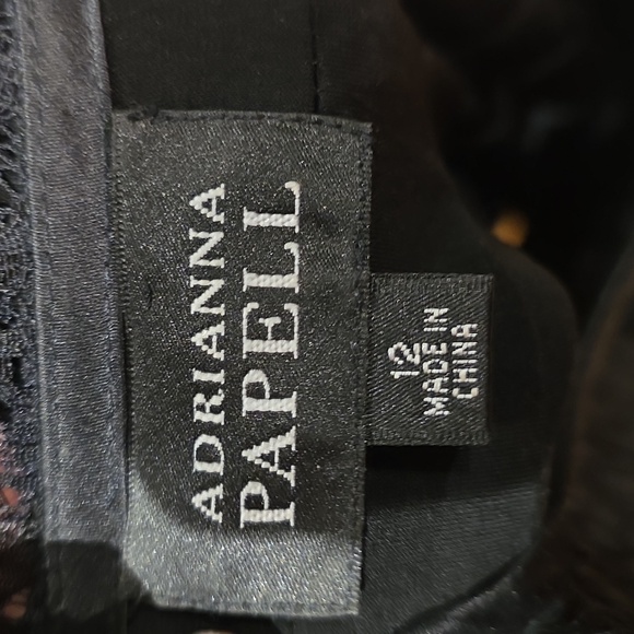 Adrianna Papell Elegant Black Lace/Silk Dress Sz12 - Picture 6 of 8